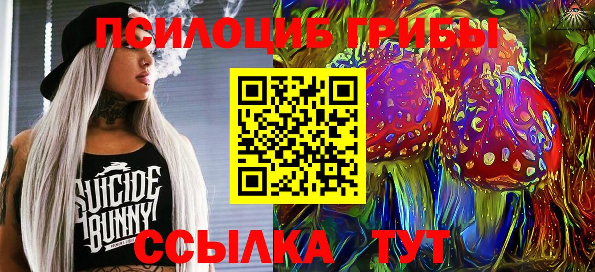 Псилоцибиновые грибы прущие грибы Урус-Мартан