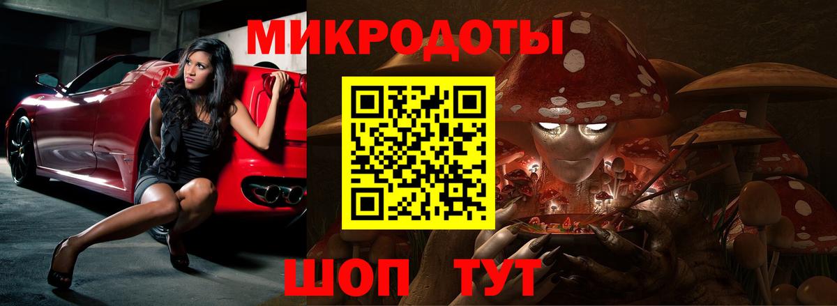 Галлюциногенные грибы Psilocybe  Вход с VPN  Псилоцибиновые грибы мухоморы  Урус-Мартан 